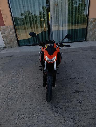 freedom ninja 250: 200 sm3 — 3