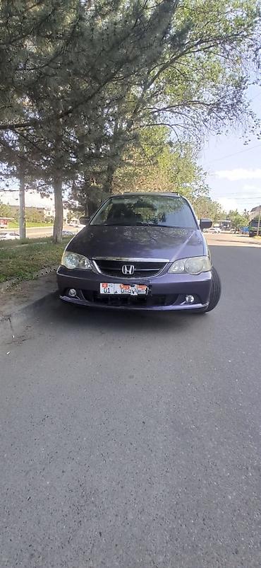 absolute: Honda Odyssey: 2002 г., 3 л, Автомат, Бензин, Минивэн — 10