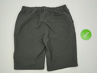 arcteryx: Szorty dla mężczyzn, rozmiar L — 3