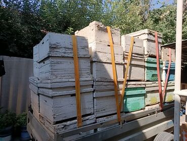 суш для пчел: Пчелиные ульи из дерева, около 45 комплектов предназначенные для