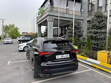 Lexus: Lexus NX: 2020 г., 0.2 л, Автомат, Бензин, Кроссовер — 2