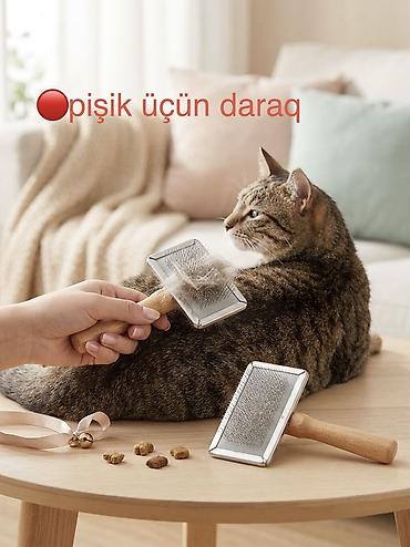 heyvan sikişi: Şotland, Erkək, Yaxşı əllərə, Ünvandan götürmə, Pulsuz çatdırılma, Ödənişli çatdırılma — 7