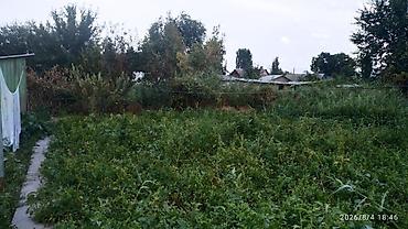 комнаты иссык: Продается дом в городе Каинда,2 комнаты,46м. Печное отопление,холодная — 10