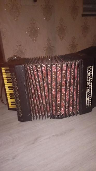 avanti piano: Akkordeon (piano klaviaturalı, knopkali bas tərəf) - Korpus: qara — 3
