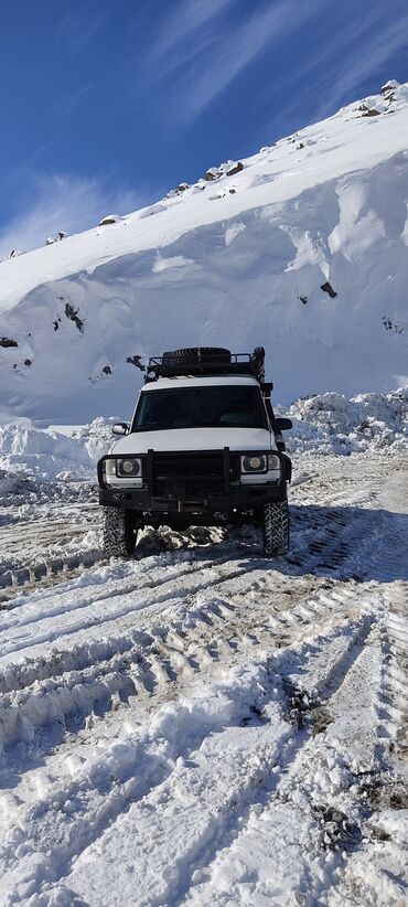 гидро лопата на спринтер: Land Rover Discovery: 1995 г., 2.5 л, Автомат, Дизель, Жол тандабас