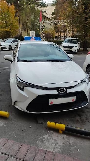 Автошколы, курсы вождения: Курсы вождения | (B) | Частный инструктор — 1