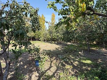 Продажа коттеджей и домов: 🔥 Отличный дом + фундамент под 2 дом + большой участок! Рядом с — 7