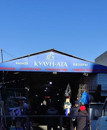 хищные растения: Продаю контейнер на рынке Ортосай - Кулун Ата, 3 проход. Очень — 2