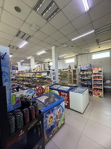 58: Продается коммерческая недвижимость на первой линии (ГЭС-2) — 5