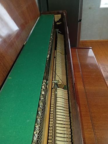 stels velosiped satisi: Piano, Belarus, Akustik, İşlənmiş, Ödənişli çatdırılma — 7