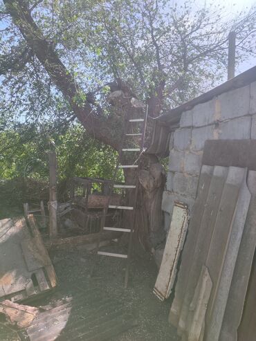 очень очень срочно нужны деньги: ПРИГОРОДНОЕ, БЧК,фучика,улица Марата, бишкек дрова не нужны, спилить
