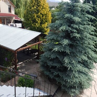 Отели и хостелы: Дом под бизнес в центре г. Чолпон-ата, рядом кинотеатр и автовокзал at lalafo.kg — 20 Отели и хостелы: Дом под бизнес в центре г. Чолпон-ата, рядом кинотеатр и автовокзал — 20