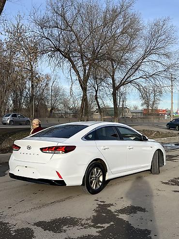Hyundai: Hyundai Sonata: 2023 г., 2 л, Типтроник, Газ, Седан — 10
