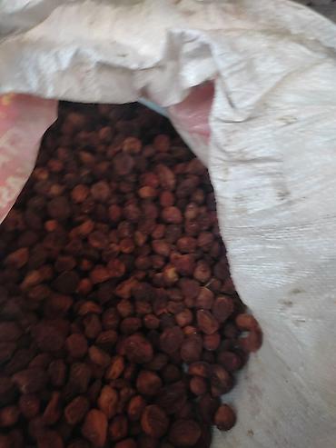 Сухофрукты, орехи, снеки: Сушёный абрикос (урюк/кайса без сиропа) - Натуральная сушка на — 5