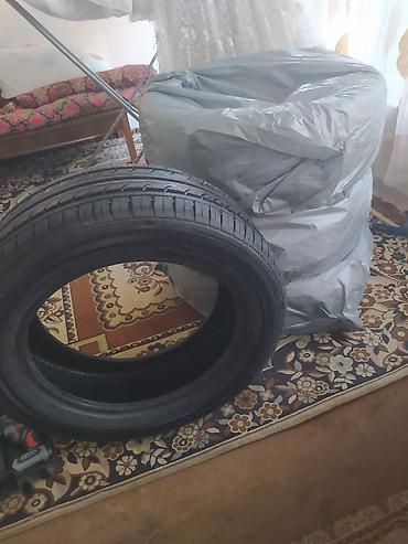 apollo solo: Летние шины 205/55 R16 91H - Размер: 205/55 R16 - Индекс — 2