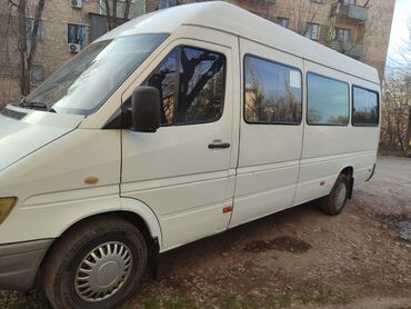 козерок на спринтер: Mercedes-Benz Sprinter: 1999 г., 2.9 л, Механика, Дизель, Бус