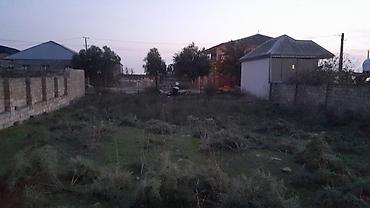 naxcivan ev: Biznes üçün, Kupça (Çıxarış) — 5