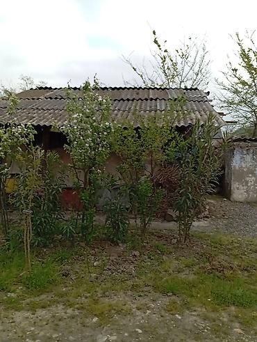 Həyət evi alıram: 145 kv. m, 4 otaqlı, Su — 2