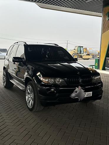 авто бесплатно: BMW X5: 2005 г., 4.4 л, Автомат, Бензин, Внедорожник — 1