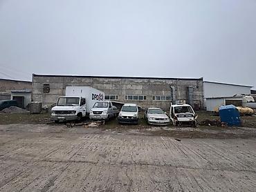 контейнеры: 100 соток, Договор купли-продажи — 1
