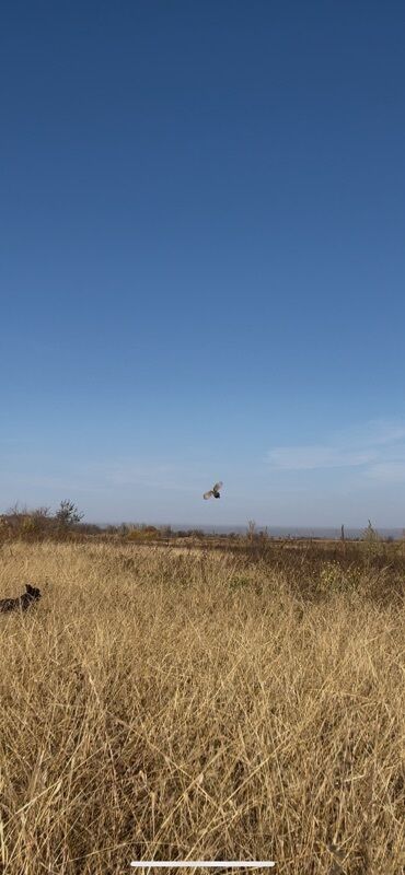 печать на ткани: Фотосъёмка | С выездом | Фотосессия