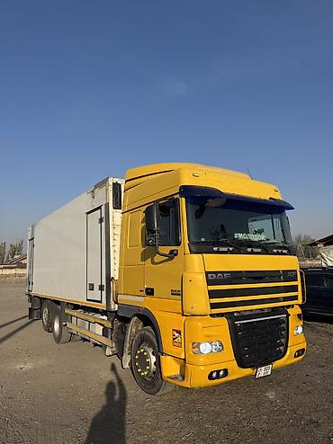 daf 2008: Грузовик, DAF, Стандарт, Б/у — 2