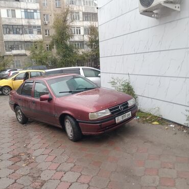 радиатор охлаждения опель вектра б: Opel Vectra: 1993 г., 1.8 л, Бензин