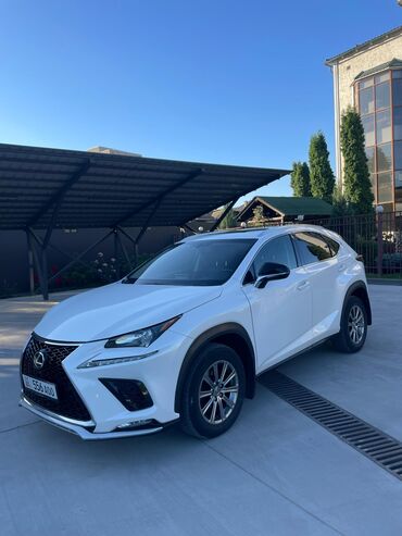 лексус ст: Lexus NX: 2017 г., 2 л, Автомат, Бензин, Кроссовер