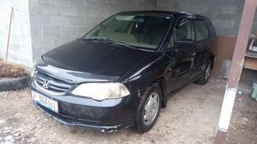 диск на сеялку: Черный минивэн Honda Odyssey, подходящий для семейных поездок и