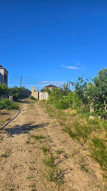 nardaran ev: 8 otaq, 324 kv. m, Təmirsiz — 4