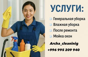 шотландская короткошерстная кошка: Уборка клининг уборка уборка клининг уборка дома уборка дома клининг