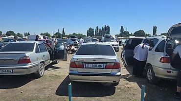 124 e500: Nissan Primera: 1998 г., 1.8 л, Механика, Бензин, Седан — 2
