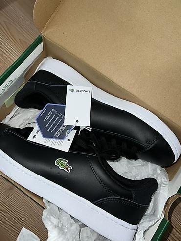 повязки для головы: Мужские кроссовки, 43, Lacoste, Новый, цвет - Черный — 2