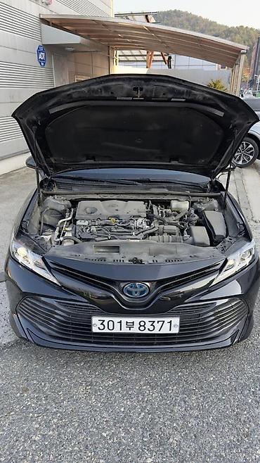 Toyota: Toyota Camry: 2019 г., 2.5 л, Автомат, Гибрид, Седан — 16