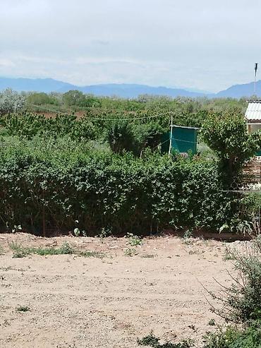 Продажа участков: 200 соток, Для сельского хозяйства — 3