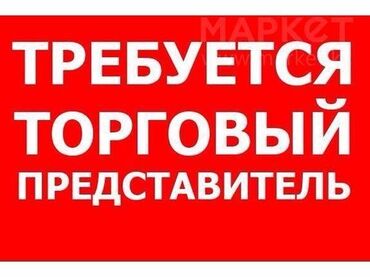 работа в торговом центре: Торговый агент. С личным транспортом