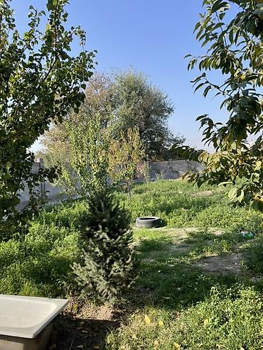 ипотечный дом: Продаётся частный дом с большим участком. - Одноэтажный дом со — 3