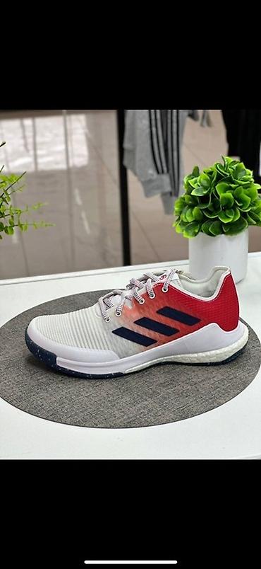 Жеке буюмдар: Эркектердин кроссовкасы, 39, Adidas Originals, Колдонулган, түсү - Ак — 1