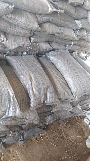 Şitillər: Torf gubresinn satisi ve dekarativ agaclarin satsi qazon torf torpaq -da lalafo.az — 2 Şitillər: Torf gubresinn satisi ve dekarativ agaclarin satsi qazon torf torpaq — 2