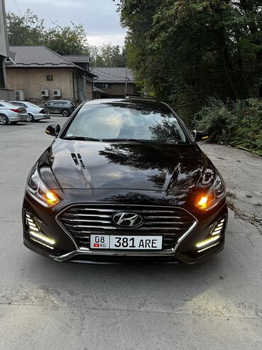 шторы на машину: Hyundai Sonata: 2018 г., 2 л, Автомат, Бензин, Седан