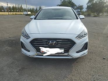 химия на авто: Hyundai Sonata: 2019 г., Газ — 1