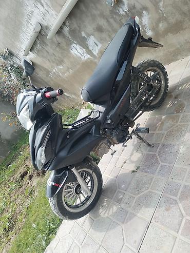 paneler: Barter var ÖZ DƏYƏRİNDƏ XİRDA BUYNUZLU HEYVANLAVA DİGƏR MARAGLİ — 3