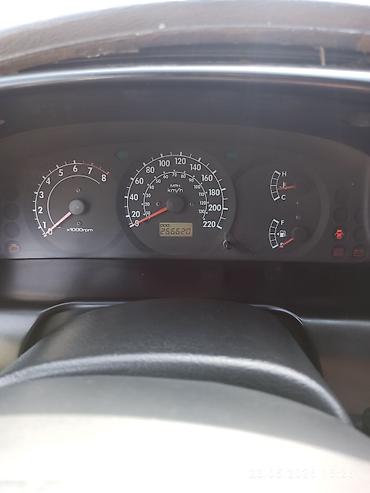 Kia: Kia Spectra: 2006 г., 1.6 л, Механика, Бензин, Седан — 9