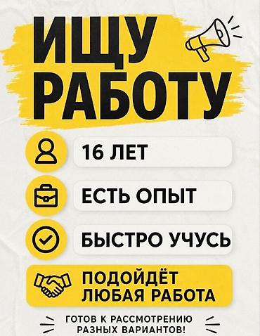 Ищу работу С опытом at lalafo.kg Ищу работу С опытом