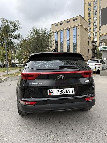 киа спортеч: Kia Sportage: 2018 г., 1.6 л, Автомат, Дизель, Кроссовер — 6
