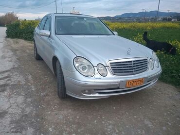 Μεταχειρισμένα Αυτοκίνητα: Mercedes-Benz E 220: 2.2 l. | 2004 έ. Sedan