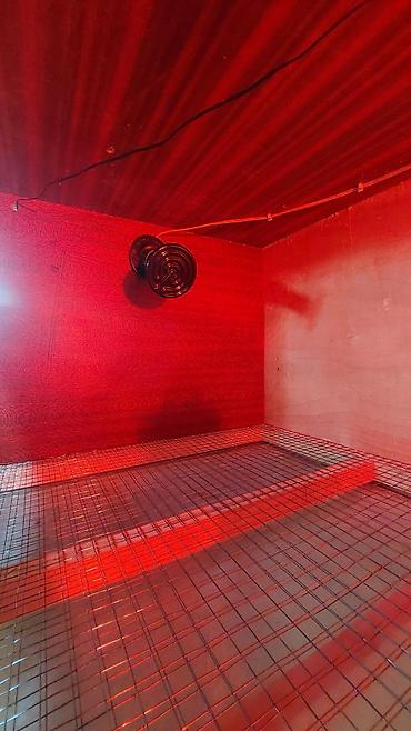 Товары и оборудование для с/х животных: Клетка для животных с деревянным каркасом и металлической сеткой — 19