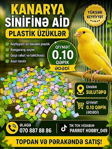göyərcin: Məhsul: Kanarya sinifinə aid plastik üzüklər - Keyfiyyətli və davamlı — 1