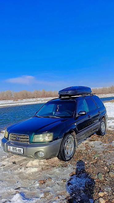 byd e9 1: Subaru Forester: 2003 г., 0.2 л, Механика, Газ, Универсал — 4