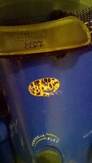 Oprema za skijanje: Skije Atomic C9, 180 cm, cipele Atomic C9 br.44,vel.300, i stapovi — 3